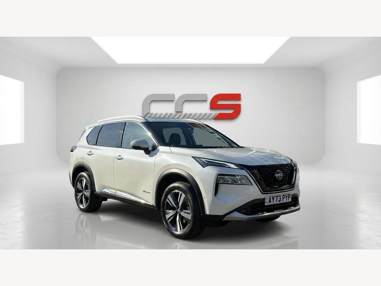 Nissan X-Trail image 1